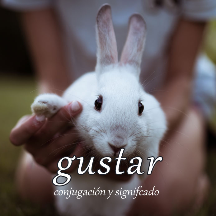 スペイン語の動詞 gustar「好きにさせる」の活用と意味まとめ