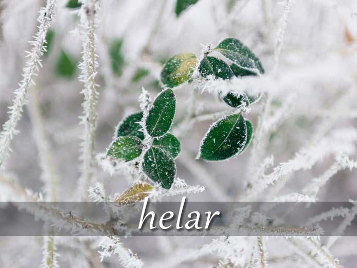 スペイン語の動詞 helar「凍らせる、ぞっとさせる」の活用と意味【例文あり】