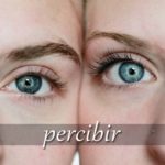 スペイン語の動詞 percibir「知覚（感知）する」の活用と意味【例文あり】