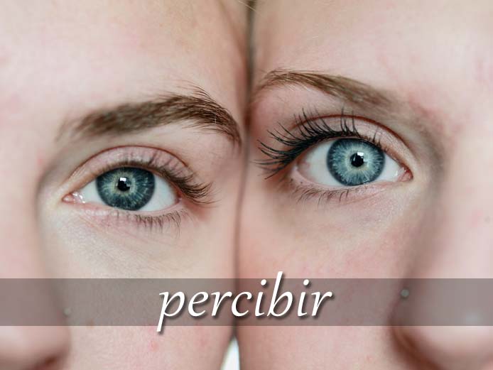 スペイン語の動詞 percibir「知覚（感知）する」の活用と意味【例文あり】