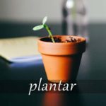 スペイン語の動詞 plantar「植える」の活用と意味【例文あり】